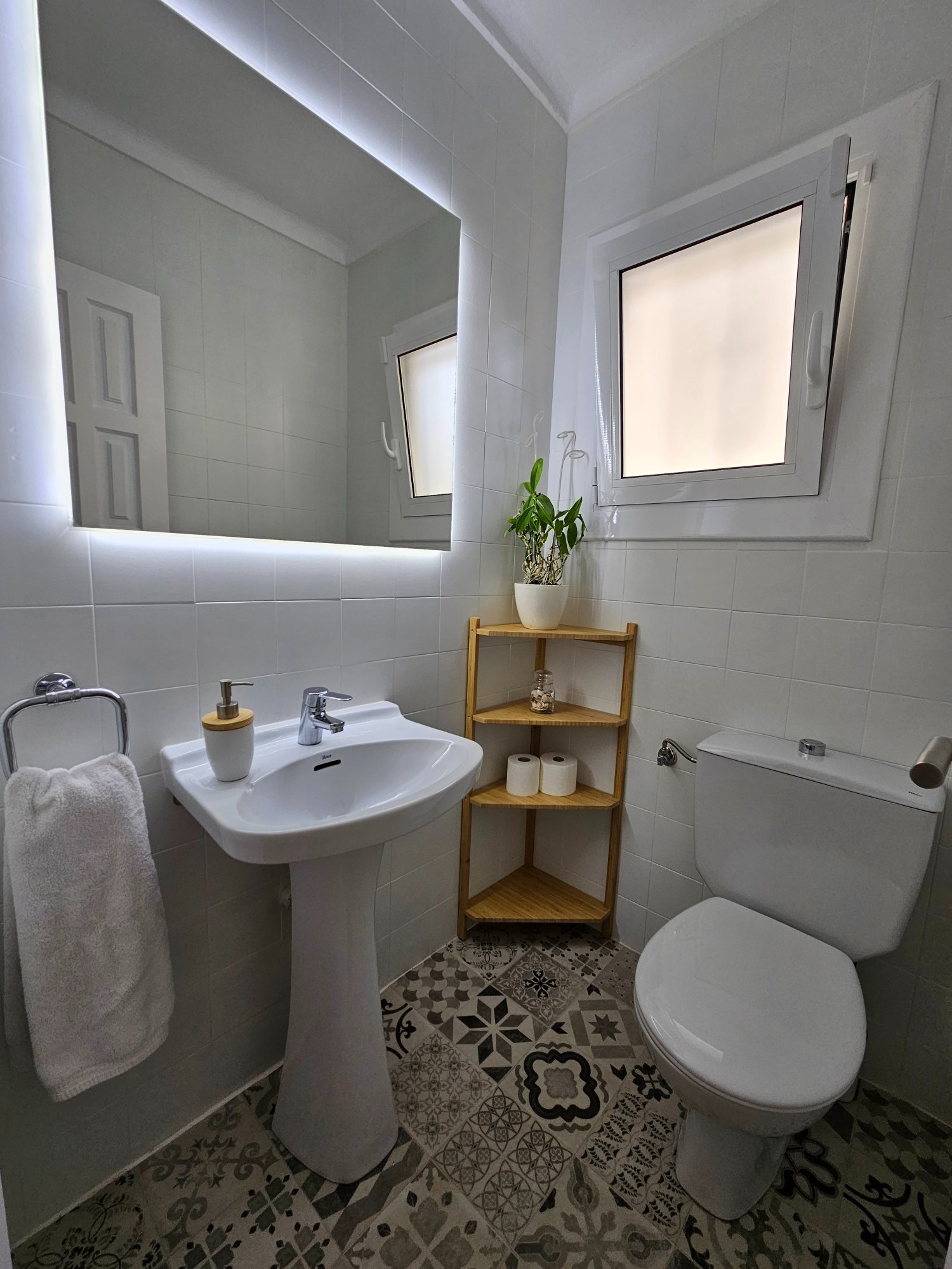 Baño en planta baja